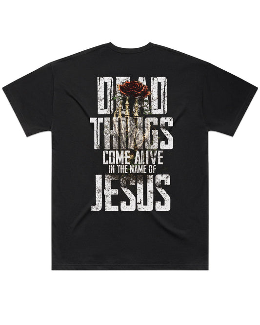 Dead Things Come Alive in the Name of Jesus Christian Oversized T-Shirt